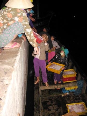 Ngư dân trúng lớn, bến cá nhộn nhịp - 4