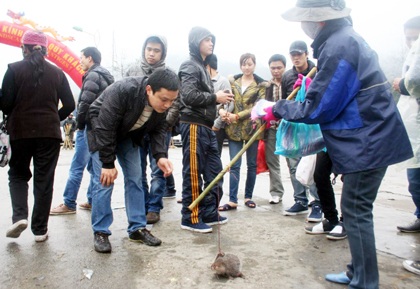 Sản vật núi rừng bị “tận diệt” tại hội xuân Yên Tử - 2