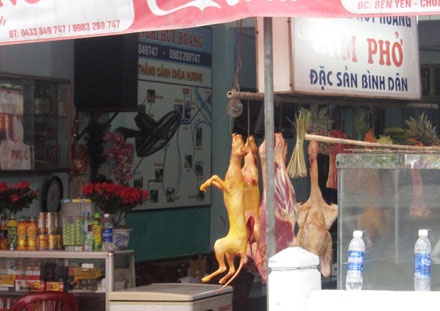 Thú rừng “treo” lủng lẳng ở chùa Hương - 2 Thú rừng “treo” lủng lẳng ở chùa Hương - 2