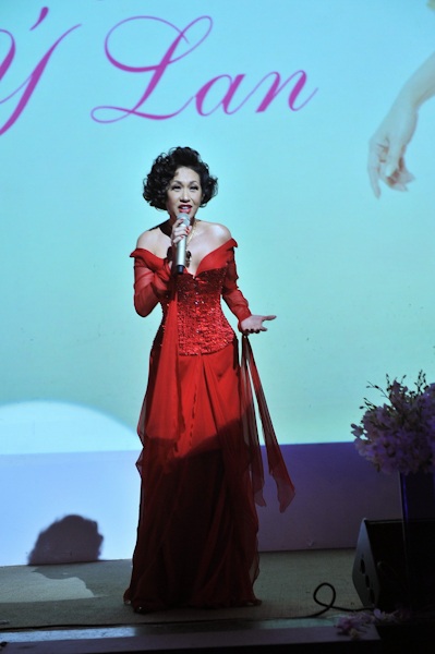 Ý Lan đưa chồng lên sân khấu - 8