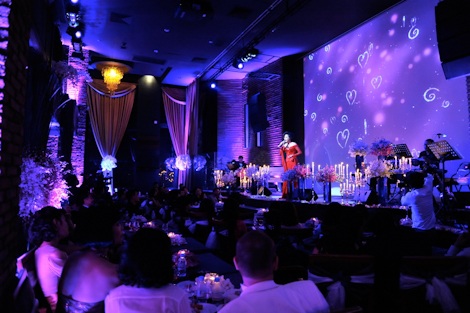 Ý Lan đưa chồng lên sân khấu - 10