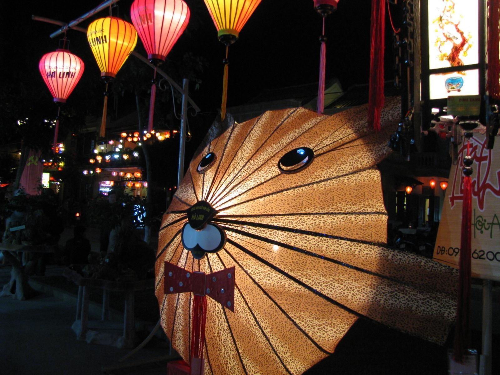 Mãn nhãn với lễ hội đèn lồng Hội An năm Tân Mão - 4