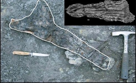 Những phát hiện quan trọng về đa dạng sinh học Việt Nam - 1 Những phát hiện quan trọng về đa dạng sinh học Việt Nam - 1