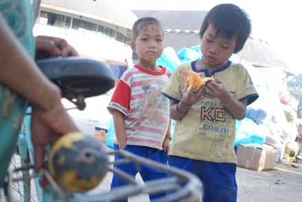 Xót lòng nhìn những đứa trẻ lượm ăn trái cây thối - 7 Xót lòng nhìn những đứa trẻ lượm ăn trái cây thối - 7