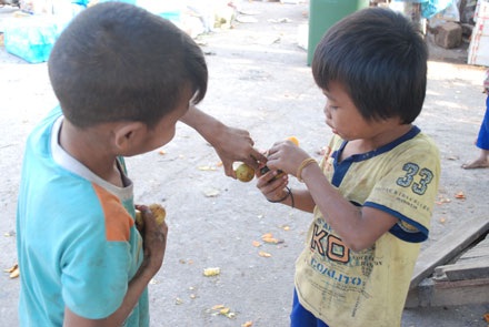 Xót lòng nhìn những đứa trẻ lượm ăn trái cây thối - 9