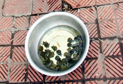 Chen chân lên chùa cầu lộc Rằm tháng giêng - 3 Chen chân lên chùa cầu lộc Rằm tháng giêng - 3