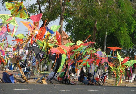 Sôi động mùa thả diều bên bờ sông Hậu - 1 Sôi động mùa thả diều bên bờ sông Hậu - 1