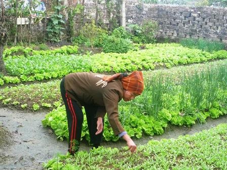 Người dân canh cánh nỗi lo thất nghiệp - 1