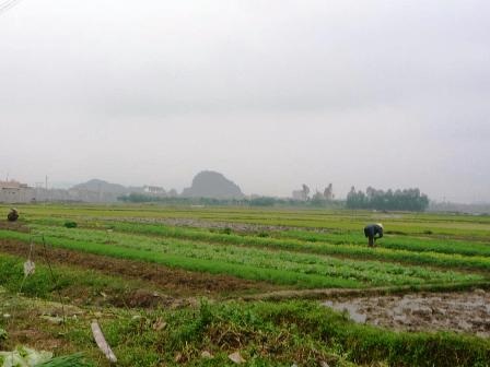 Người dân canh cánh nỗi lo thất nghiệp - 2