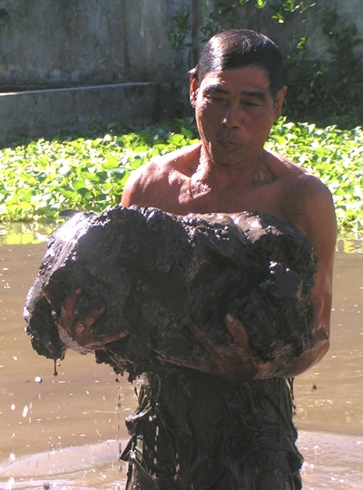 Kỳ lạ nghề lặn bùn kiếm ăn - 2