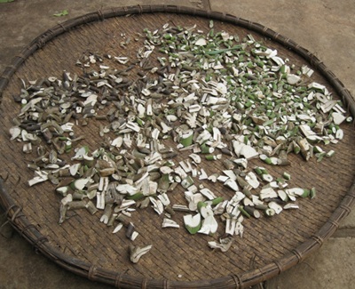 "Lương y" nhân từ và phương thuốc chữa bệnh dại kỳ diệu - 2