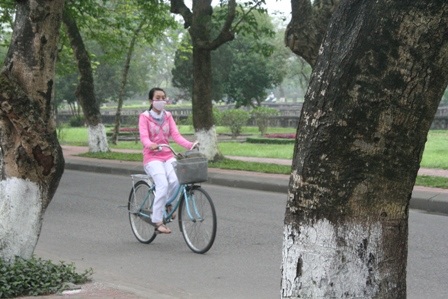 Thướt tha áo dài nữ sinh Huế trong ngày đầu Xuân - 7