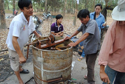 Lấy mật ong mùa lá rụng - 5 Lấy mật ong mùa lá rụng - 5