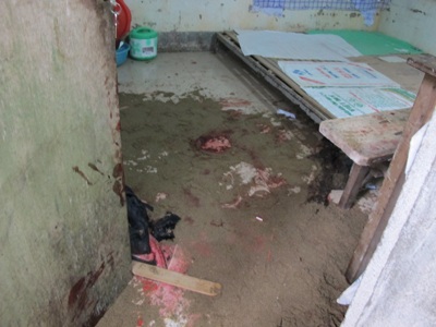 Nam sinh viên cắt cổ người yêu đến chết  - 1