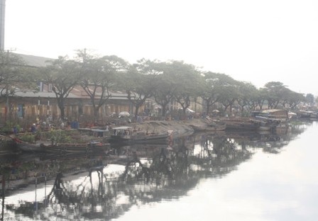 TPHCM: Khôi phục cảnh quan “trên bến dưới thuyền” - 1