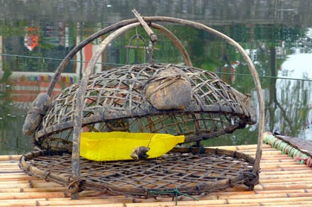 Bẫy rùa tai đỏ - có thể bạn chưa biết - 3