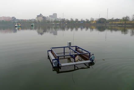 Bẫy rùa tai đỏ - có thể bạn chưa biết - 7