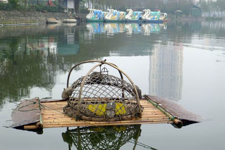 Bẫy rùa tai đỏ - có thể bạn chưa biết - 4