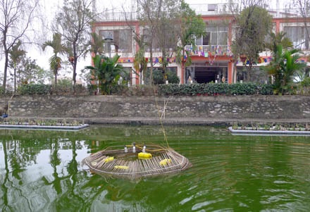 Bẫy rùa tai đỏ - có thể bạn chưa biết - 9