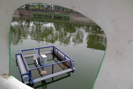 Bẫy rùa tai đỏ - có thể bạn chưa biết - 6