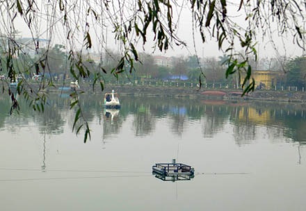 Bẫy rùa tai đỏ - có thể bạn chưa biết - 5