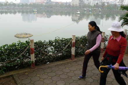 Bẫy rùa tai đỏ - có thể bạn chưa biết - 12