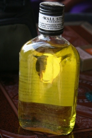 Khám phá “vương quốc” dầu tràm bên quốc lộ 1A - 2