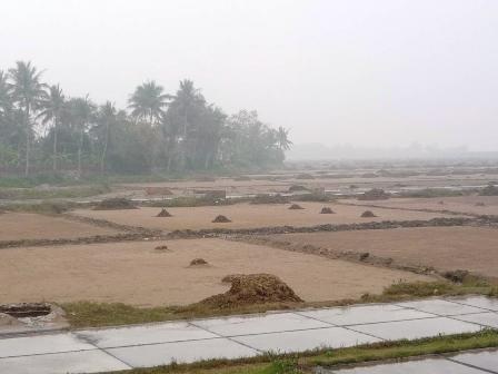 Diêm dân với nỗi lo bỏ nghề - 1