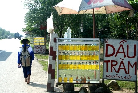 Khám phá “vương quốc” dầu tràm bên quốc lộ 1A - 10