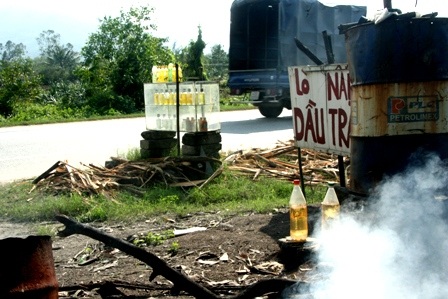 Khám phá “vương quốc” dầu tràm bên quốc lộ 1A - 1