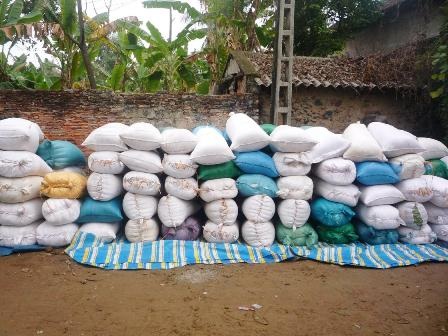 Diêm dân với nỗi lo bỏ nghề - 3