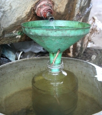 Khám phá “vương quốc” dầu tràm bên quốc lộ 1A - 7