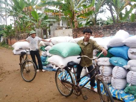 Diêm dân với nỗi lo bỏ nghề - 4