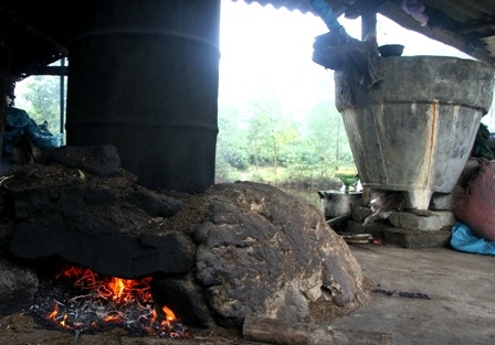 Khám phá “vương quốc” dầu tràm bên quốc lộ 1A - 5