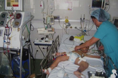 Liên tiếp hai cháu bé nhập viện vì rắn độc cắn - 1