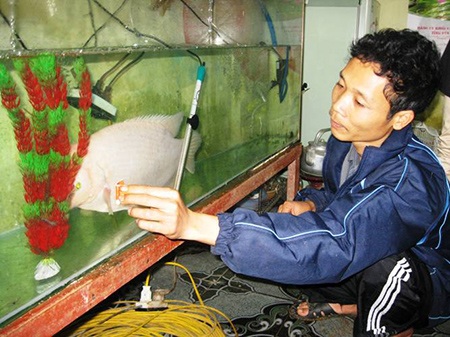 Bắt được cá Tài Phát rất quý hiếm trên sông Hồng - 1 Bắt được cá Tài Phát rất quý hiếm trên sông Hồng - 1