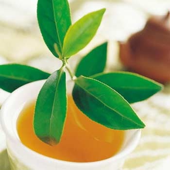 Uống trà giúp giảm mệt mỏi - 1 Uống trà giúp giảm mệt mỏi - 1