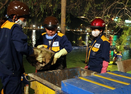 Cận cảnh những tảng đá hộc dưới lòng hồ Gươm - 6