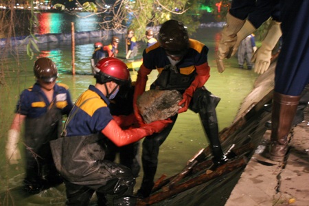 Cận cảnh những tảng đá hộc dưới lòng hồ Gươm - 4