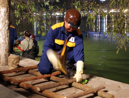 Cận cảnh những tảng đá hộc dưới lòng hồ Gươm - 2