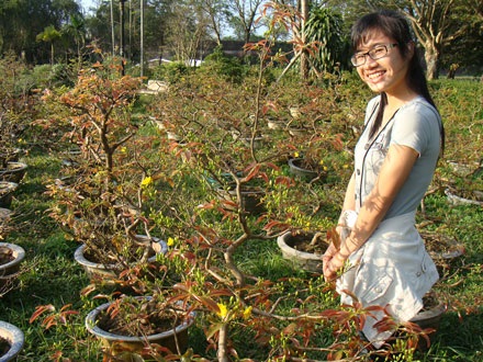 Ngỡ ngàng ngắm mai nở muộn - 7