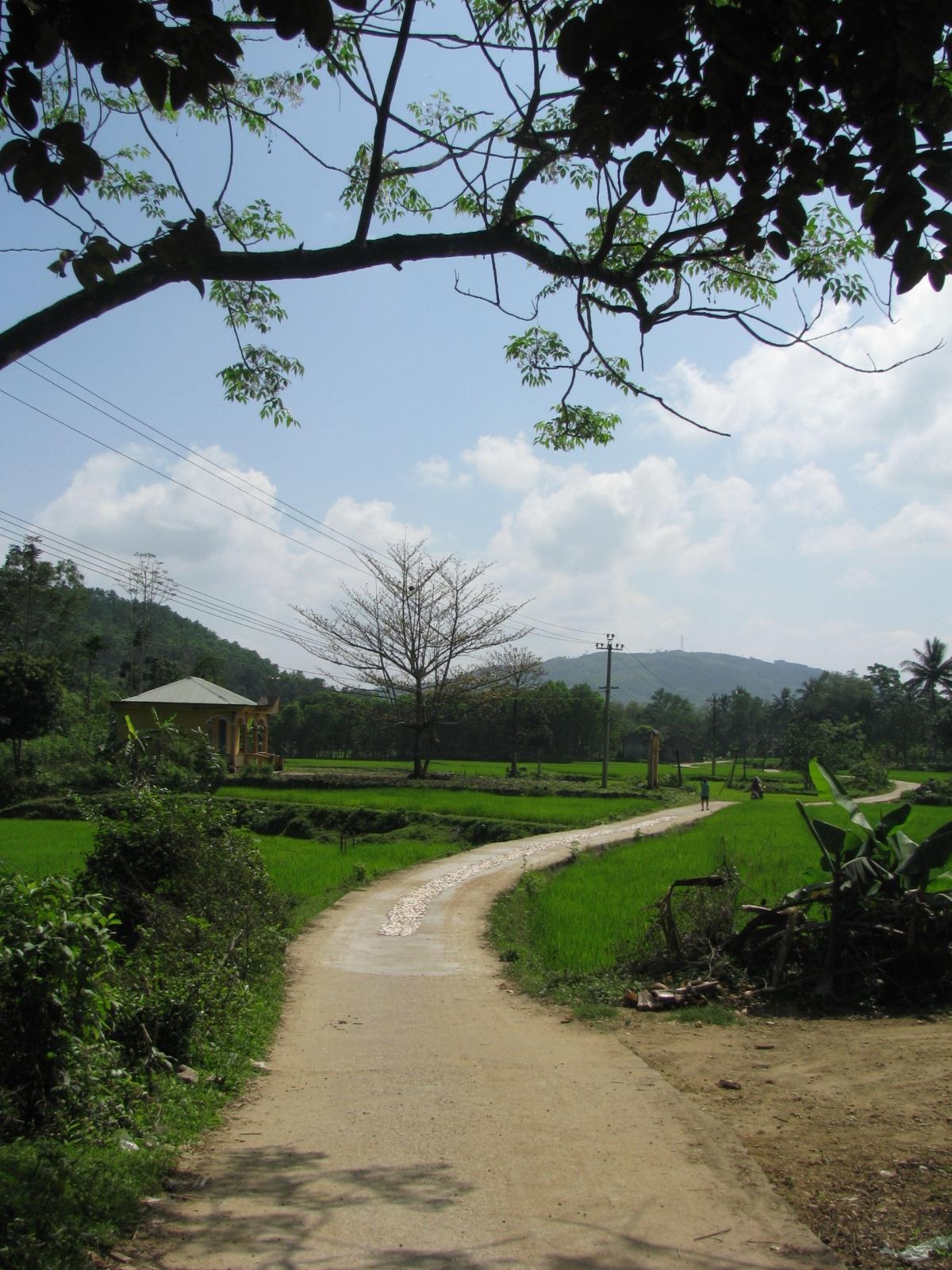 Đẹp mê hồn ngõ đá vào làng cổ Lộc Yên - 1