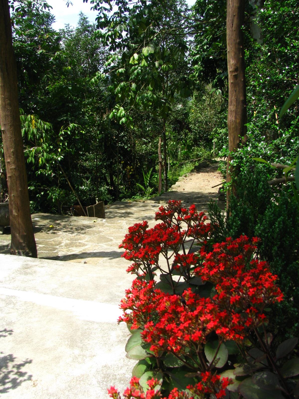 Đẹp mê hồn ngõ đá vào làng cổ Lộc Yên - 11