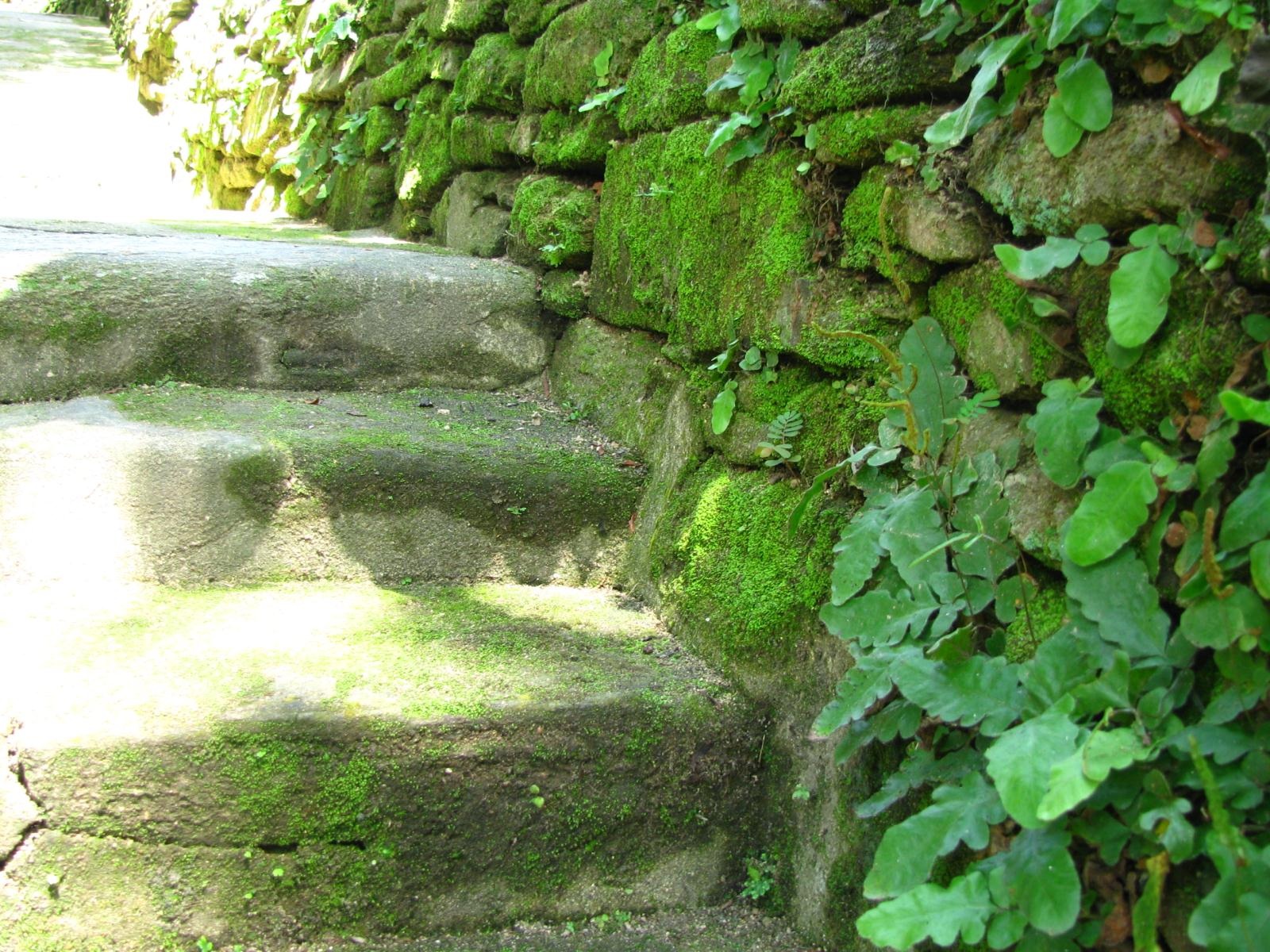 Đẹp mê hồn ngõ đá vào làng cổ Lộc Yên - 4