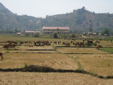 Hạn hán nghiêm trọng ở Tây Nguyên - 2 Hạn hán nghiêm trọng ở Tây Nguyên - 2