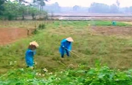 “Chuyện tình đầu của cô Lượm bụi đời” - sự thật hay bịa đặt?  - 4