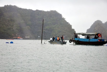 Đình chỉ hoạt động công ty lữ hành liên quan vụ chìm tàu - 1