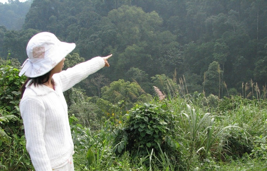 Bí ẩn "rừng ma" và nỗi khiếp sợ cái chết xấu - 1