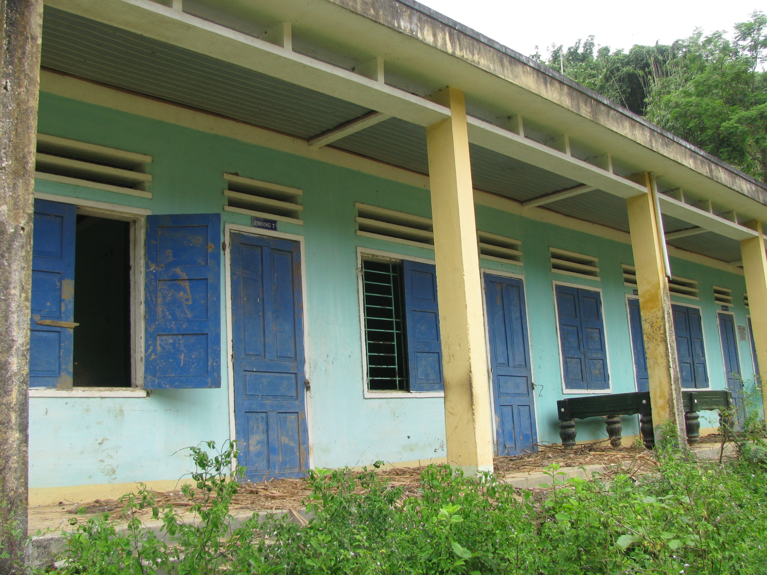 Bí ẩn "rừng ma" và nỗi khiếp sợ cái chết xấu - 4