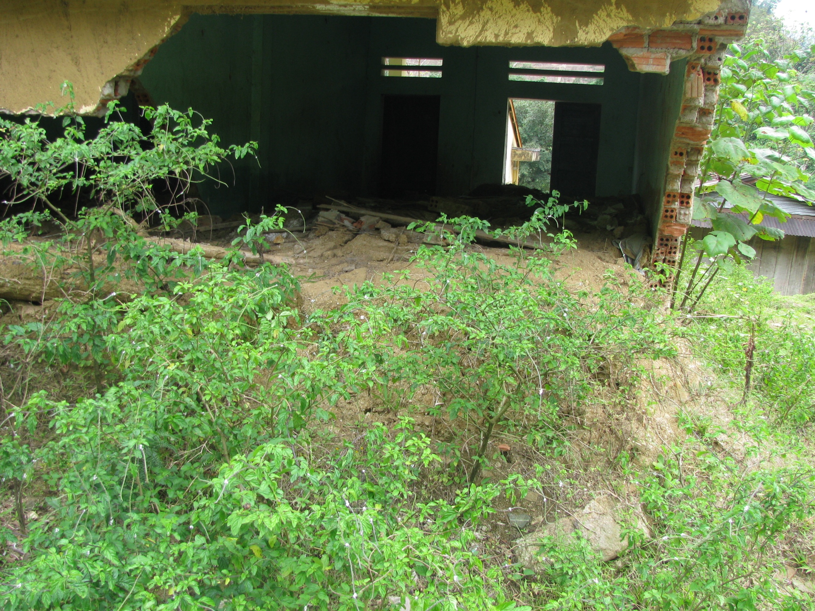 Bí ẩn "rừng ma" và nỗi khiếp sợ cái chết xấu - 3